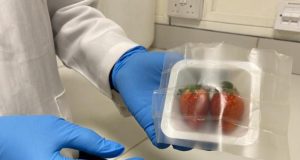 Singapore, US Scientists Create Bacteria-killing, Biodegradable Food Packaging Material