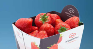 Hoogstraten Launches Packaging LCA Tool