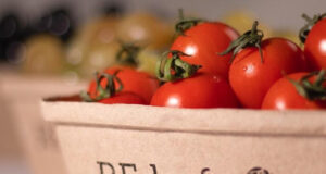 Startup Pioneers Paper Packaging Production from Fallen Leaves