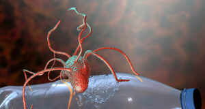 Newly Discovered Plastic-eating Enzymes Could Prove Game-changer