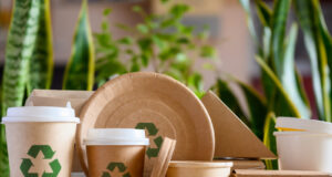 US: States Turn Up Pressure on Food Packaging Producers