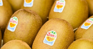 Sinclair and Zespri Launch Compostable Fruit Stickers