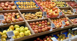 Megamark Partners with Tosca to Drive Sustainability and Efficiency