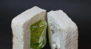 3D-Printed Mycelium Packaging Offers a Compostable Alternative to Styrofoam