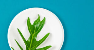 UK: New Alliance to Drive the Future of Fibre-based Packaging