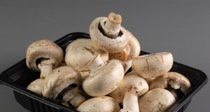 South Mill Champs Replaces Plastic with Biodegradable Bamboo Packaging in Retail Launch