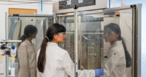 AIMPLAS Cuts Biodegradation Testing Time by Two-Thirds with New Methodology