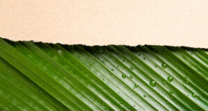 Huhtamaki, Tetra Pak and Zipform Drive Formation of Australian Fibre-Based Packaging Alliance