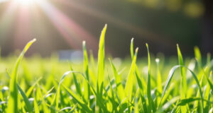 Ranpak’s Grass-Based Void Fill Joins Antalis Portfolio of Eco Materials