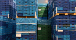 Fiordelisi Improves Transport Efficiency And Cuts Emissions With Reusable Crates From Tosca