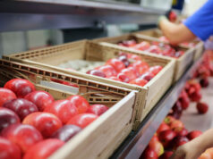 Tosca Secures EcoVadis Gold Rating As Supply Chains Demand Measurable Sustainability