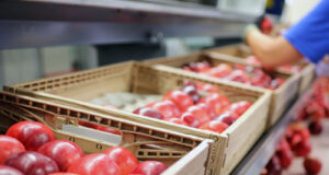 Tosca Secures EcoVadis Gold Rating As Supply Chains Demand Measurable Sustainability